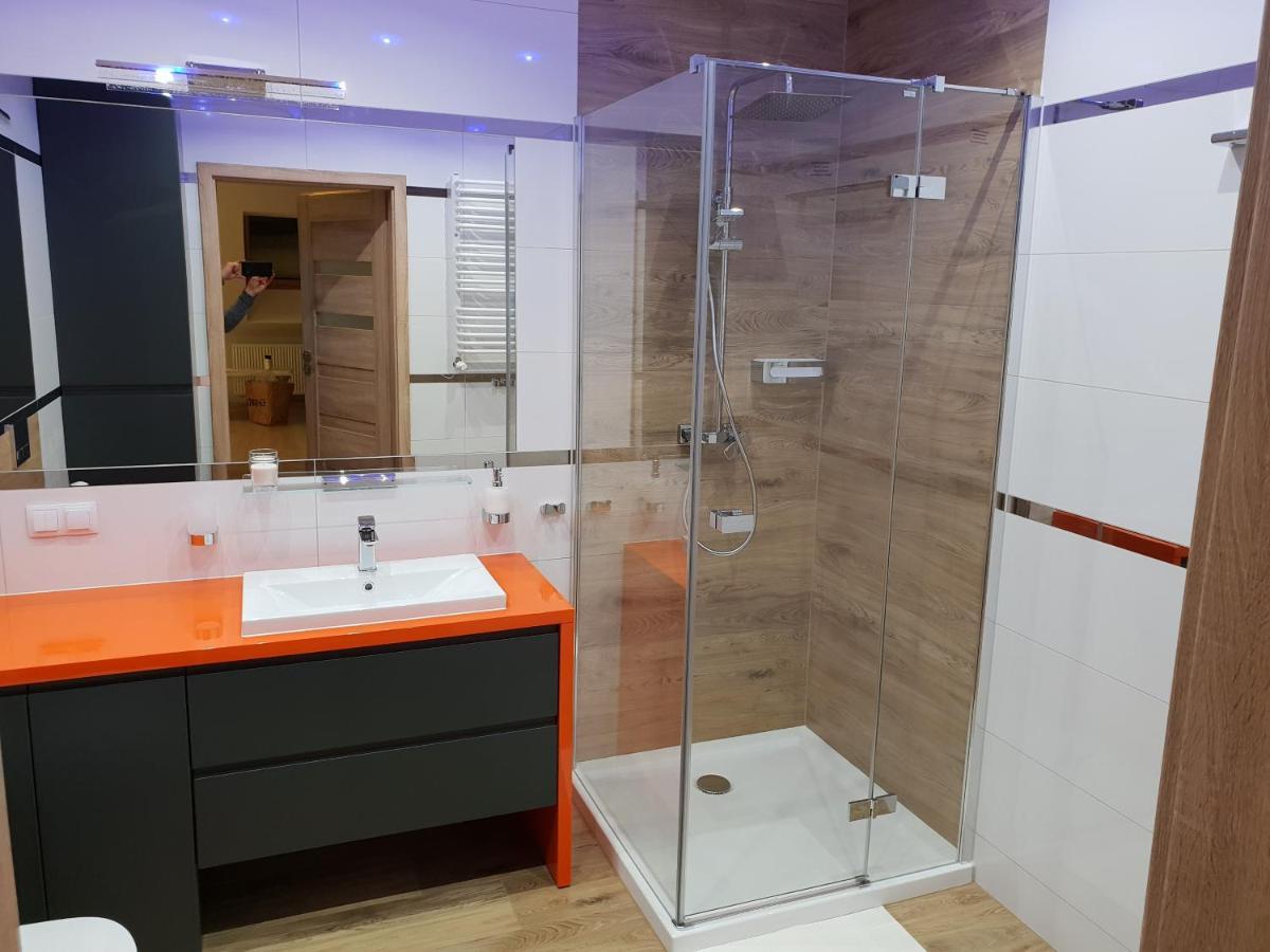 Vera Apartment Swieradow-Zdroj Zakopianska 22 C M10 מראה חיצוני תמונה