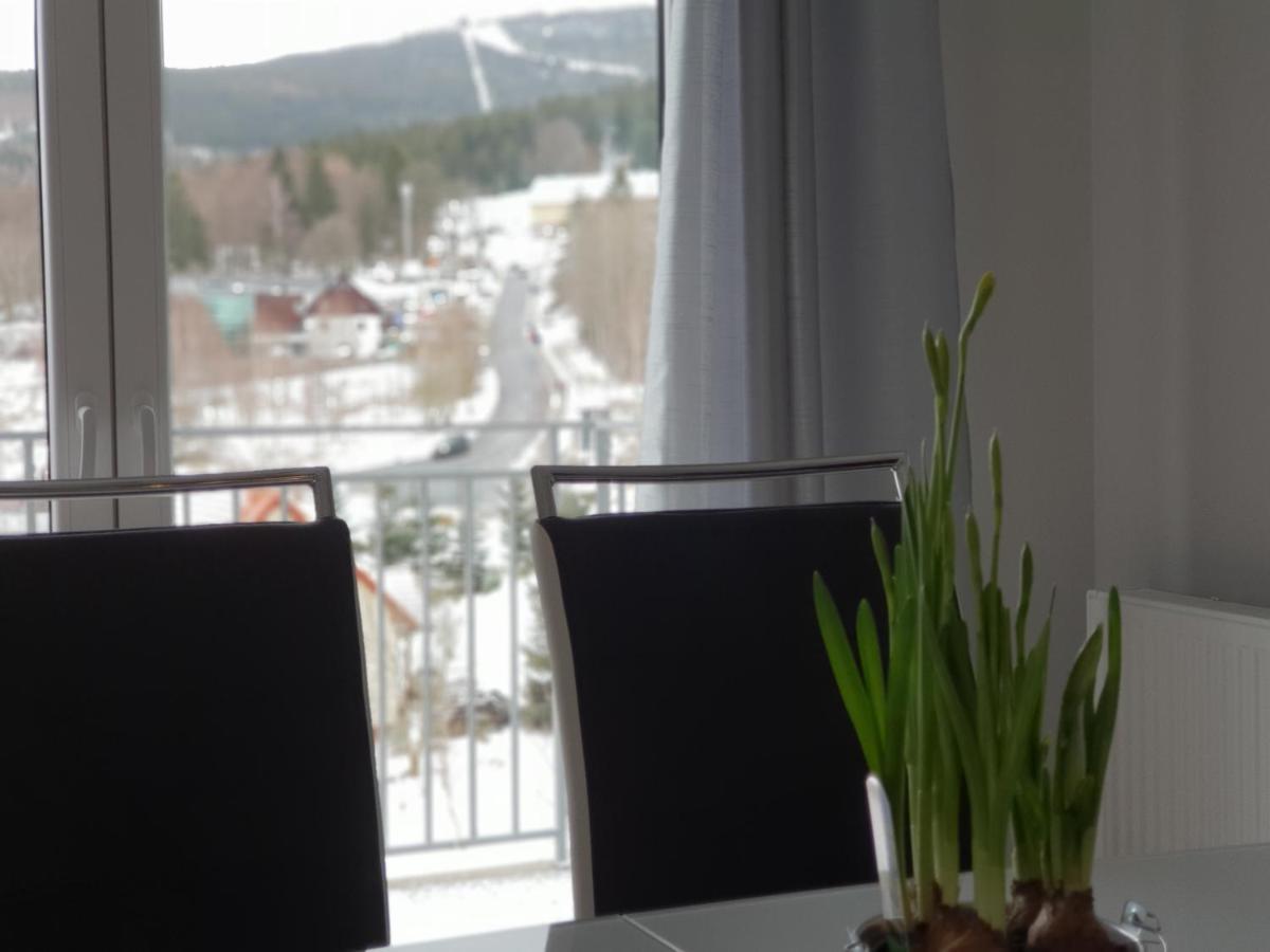 Vera Apartment Swieradow-Zdroj Zakopianska 22 C M10 מראה חיצוני תמונה